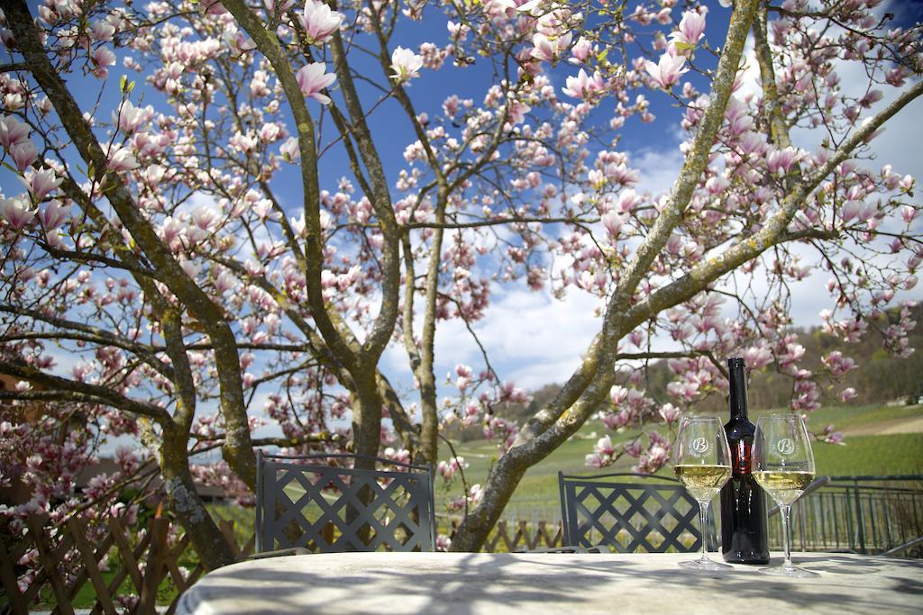 Bed and Breakfast Cave Beetschen Bursins Exterior foto